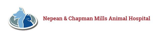 Nepean Animal Hospital - Nepean , Canada