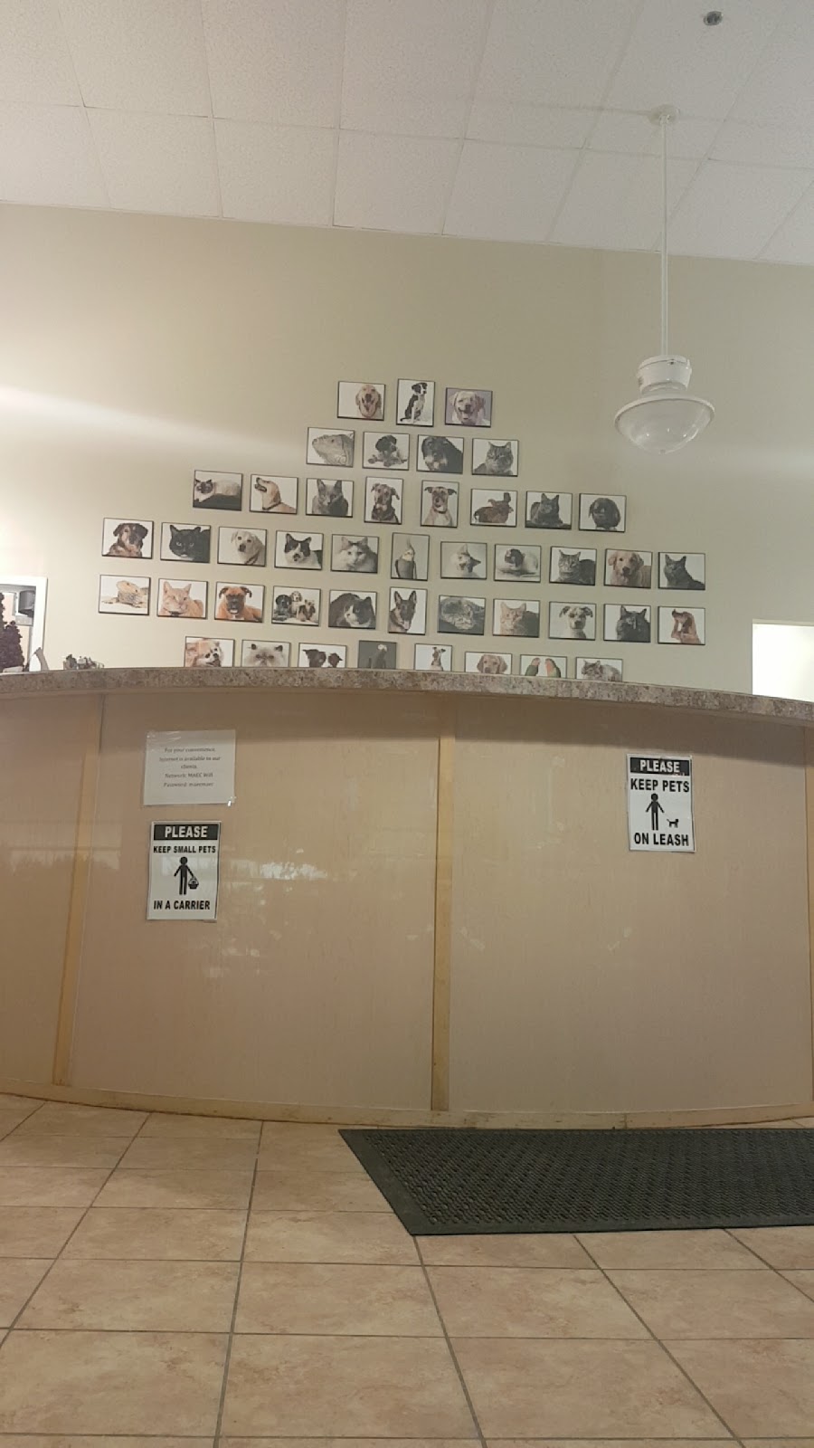 Metro Animal Emergency Clinic - Dartmouth , Canada