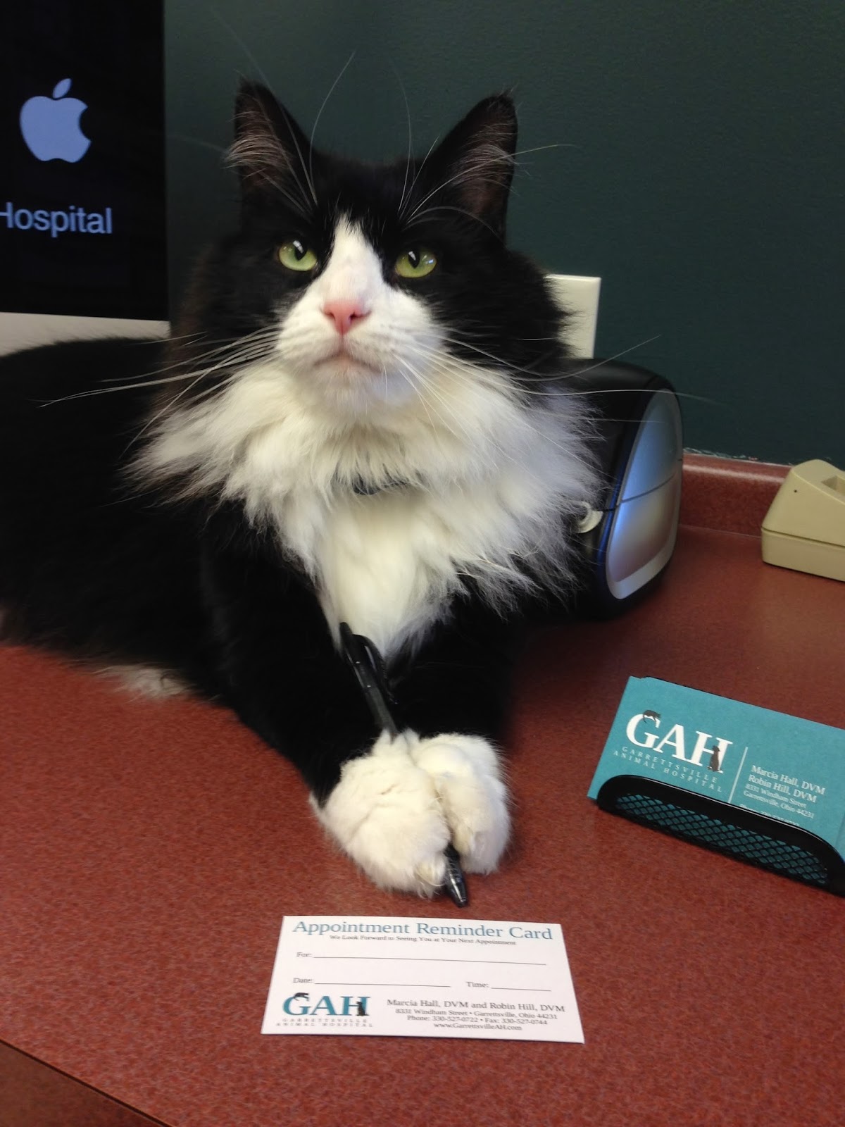 Garrettsville Animal Hospital - Garrettsville , United States