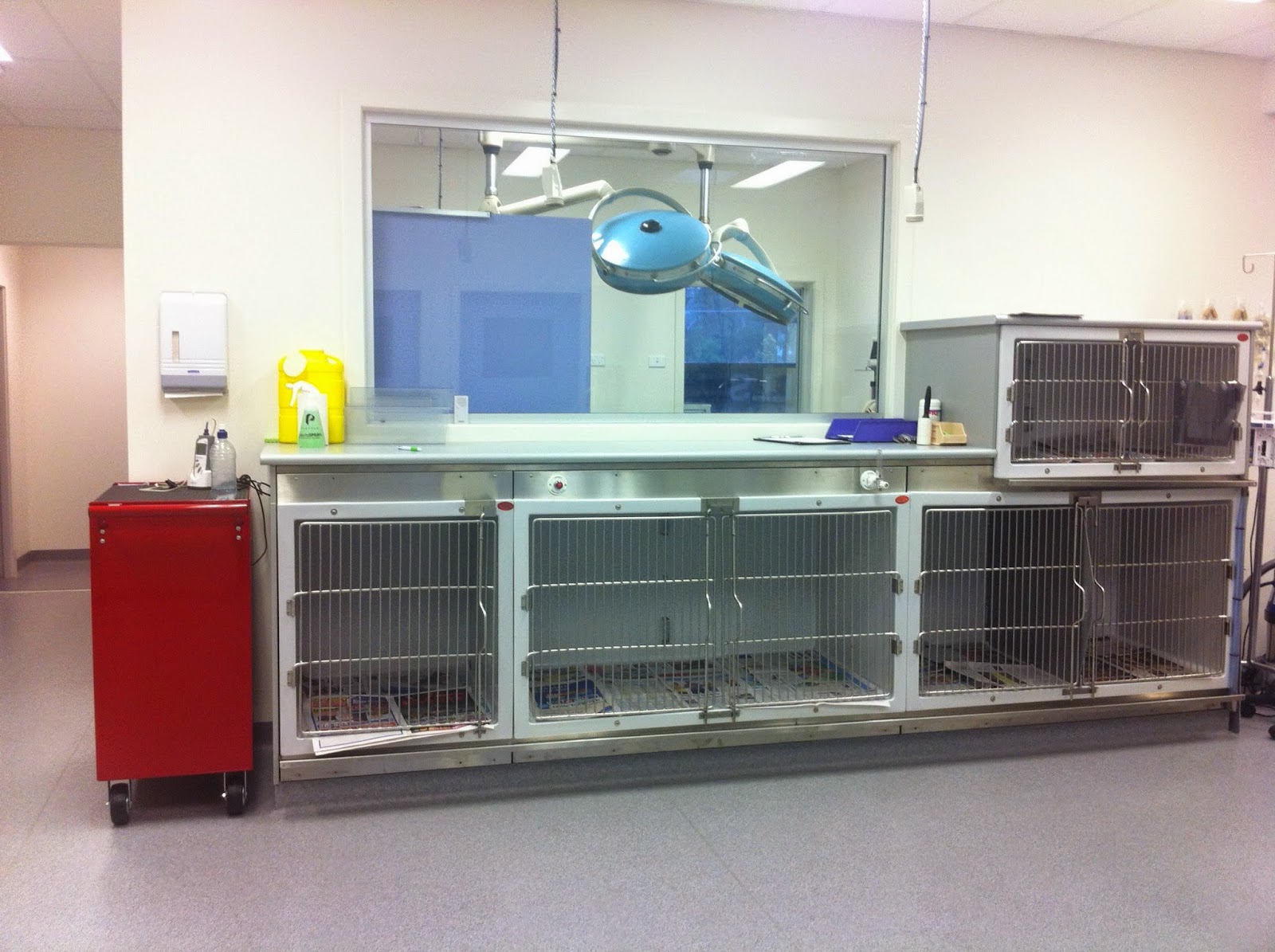 Hills District Veterinary Hospital - Dural , Australia