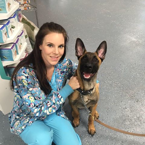 Mt Holly Veterinary Clinic - Goose Creek , United States