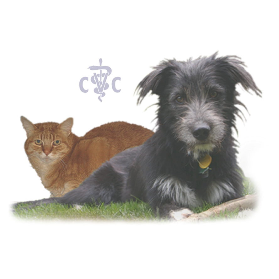 Compassion Veterinary Clinic - Marlborough , United States