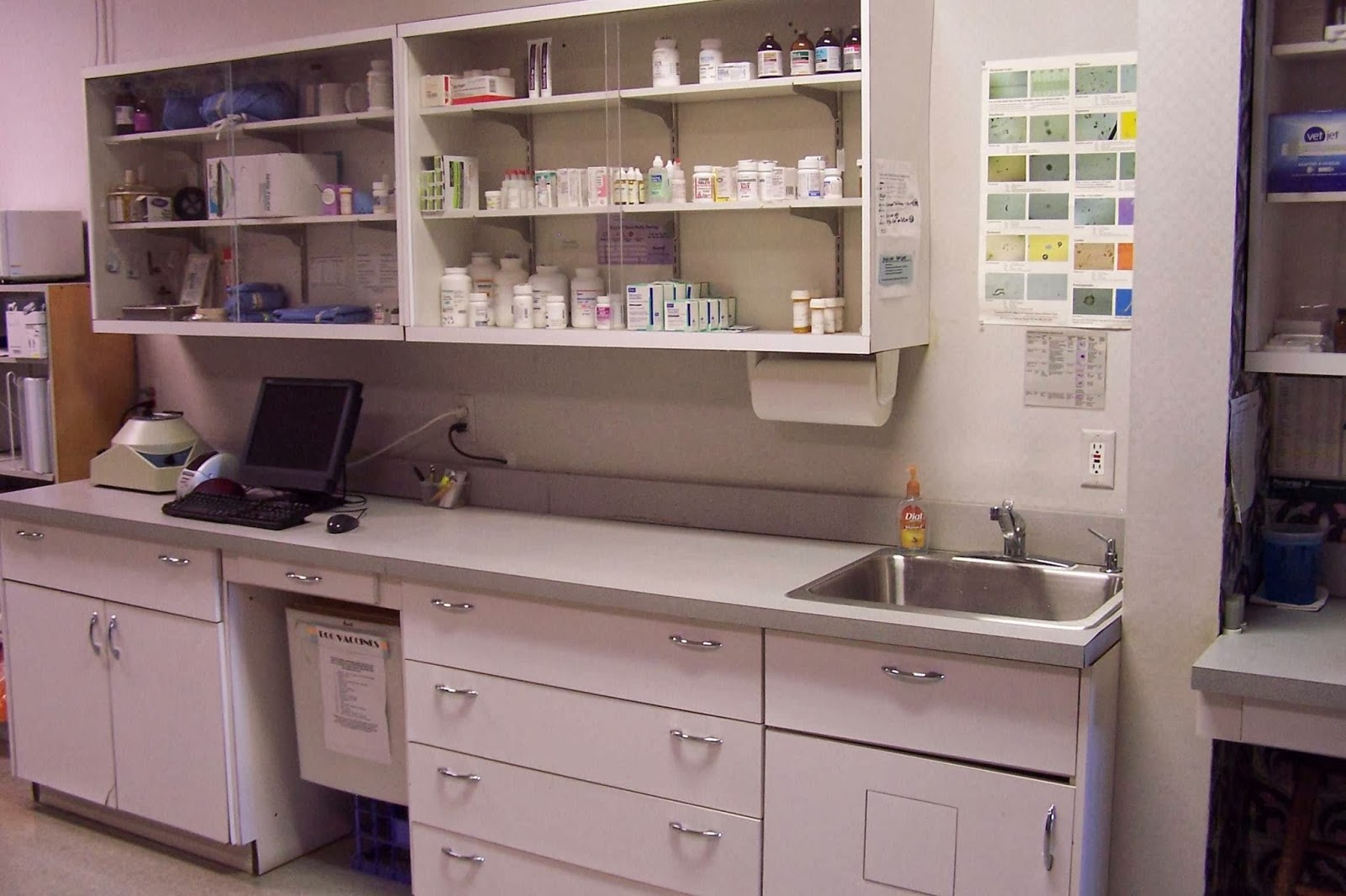 Commerce Animal Hospital - Commerce Township , United States