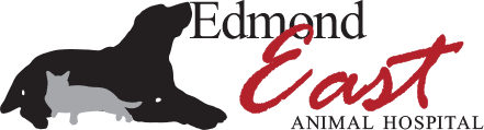 Edmond East Animal Hospital - Edmond , United States