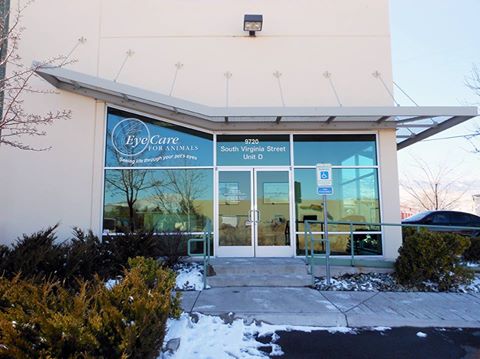 Eye Care For Animals Reno - Reno , United States