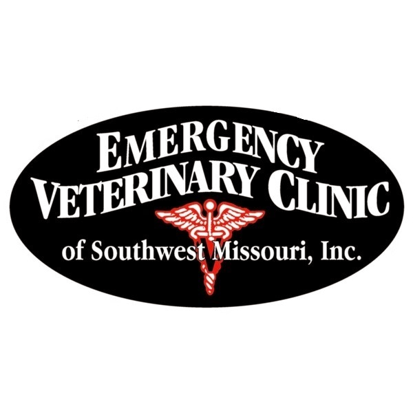 Emergency Veterinary Clinic - Springfield , United States