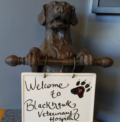 Blackhawk Veterinary Hospital - Danville , United States