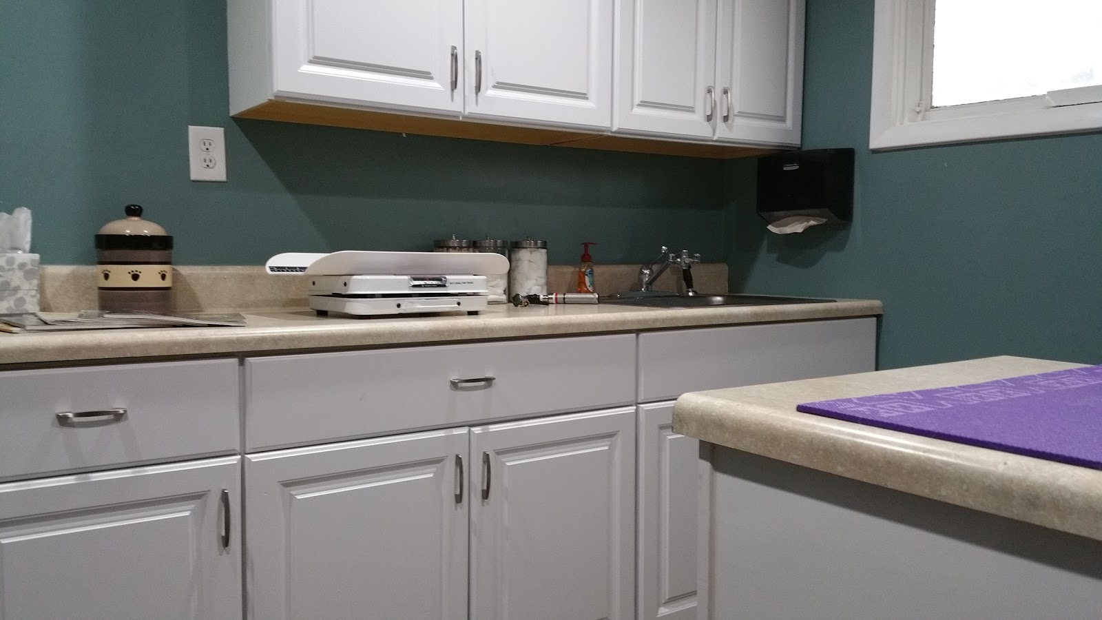 Monroe Road Animal Hospital - Charlotte , United States