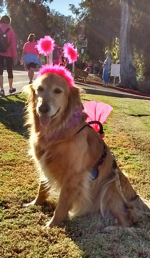 Scripps Ranch Veterinary Hospital - San Diego , United States