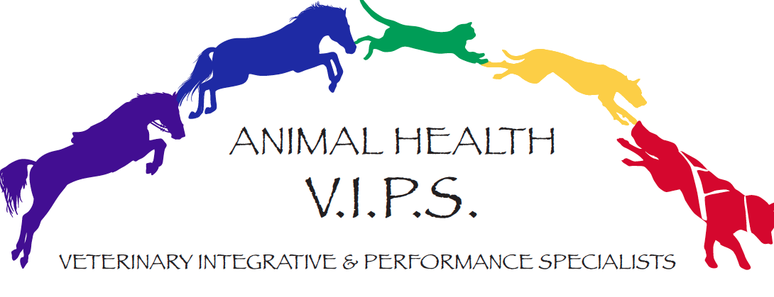Animal Health VIPS (Veterinary Integrative & Performance Specialists) - Park City , United States