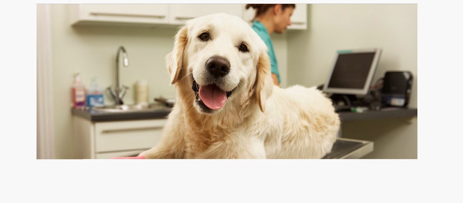 Warnbro Veterinary Hospital - Warnbro , Australia
