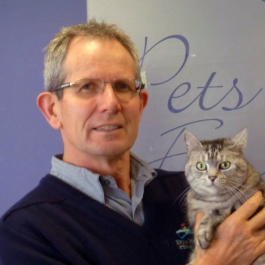 Erina Heights Vet Hospital - Wamberal , Australia