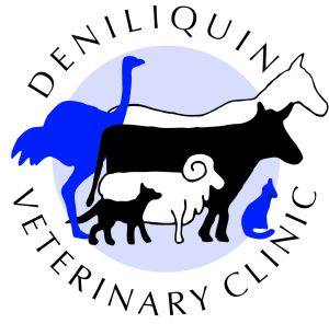 Deniliquin Veterinary Clinic - Deniliquin , Australia
