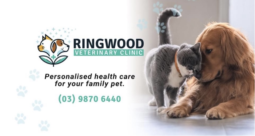 Ringwood Veterinary Clinic - Ringwood , Australia