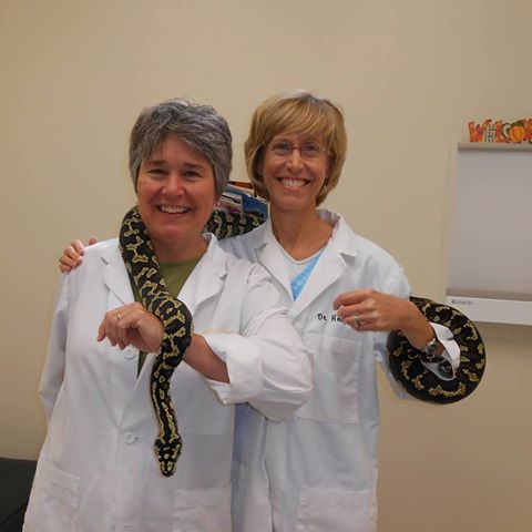 Jordan Lake Animal Hospital - Pittsboro , United States
