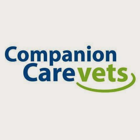 Vets4Pets Stockport - Stockport , United Kingdom