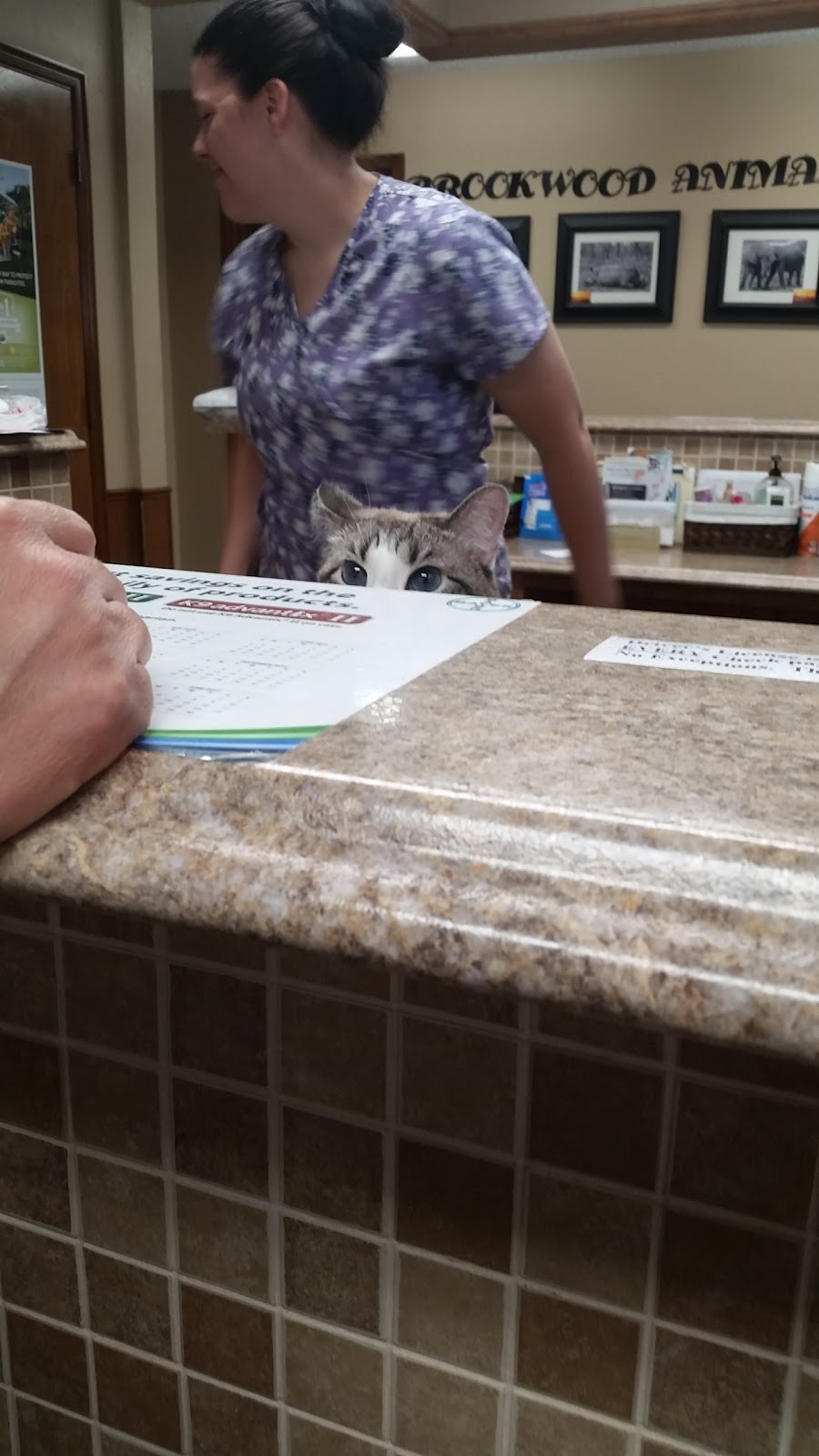 Brookwood Animal Clinic - Oklahoma City , United States