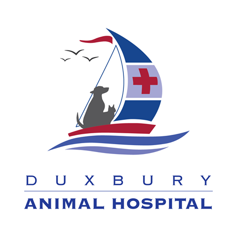 Duxbury Animal Hospital - Duxbury , United States