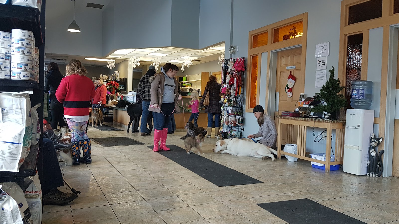 Cobequid Animal Hospital - Lower Sackville , Canada