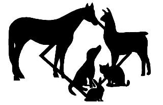 Mandak Veterinary Services - Ballston Spa , United States