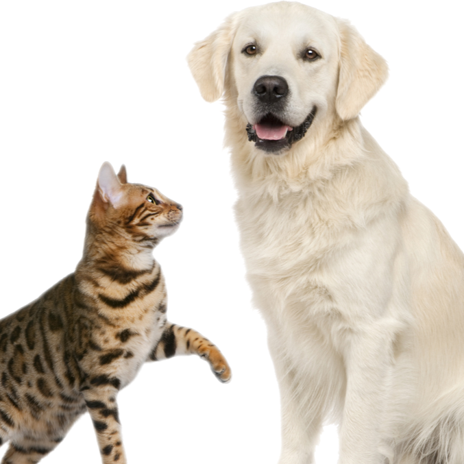 Mcpherson Veterinary Services - Murfreesboro , United States
