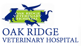 Oak Ridge Veterinary Hospital - Oak Ridge , United States
