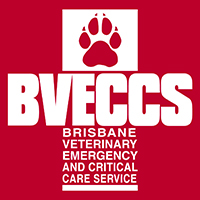 Brisbane Veterinary Emergency & Critical Care Service (BVECCS) - Albany Creek , Australia