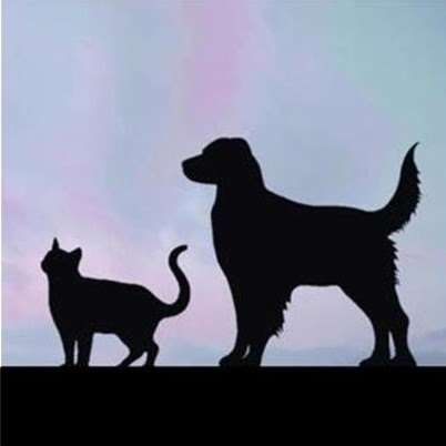 Animal Care Hospital - Cedar Rapids , United States