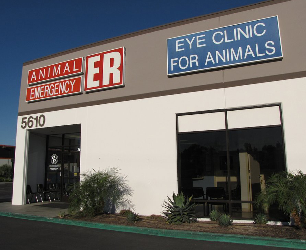 Vca Eye Clinic For Animals - San Diego , United States