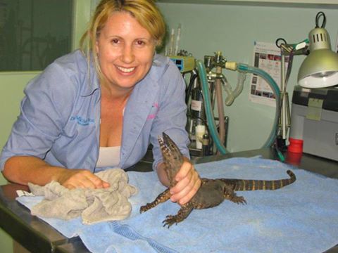 Margaret River Vet Hospital - Margaret River , Australia