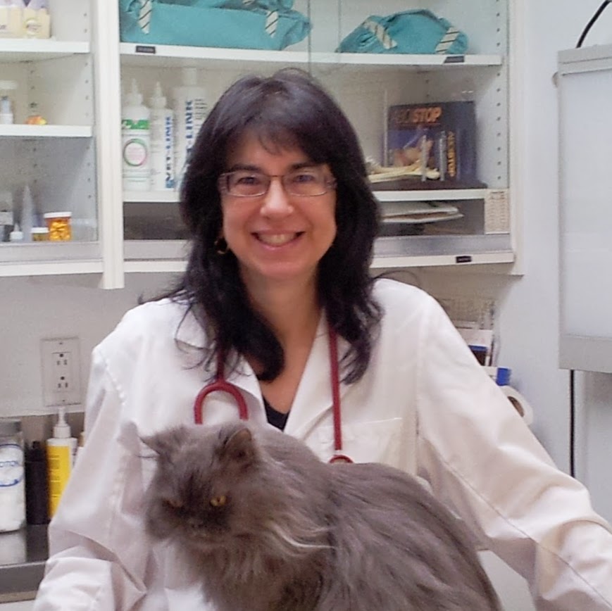 Clinique Vétérinaire St Martin - Laval , Canada