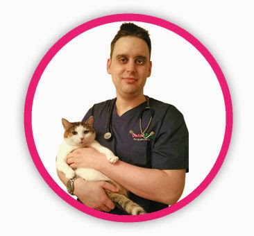 Vets4Pets Glasgow Forge - Glasgow , United Kingdom