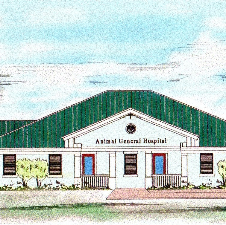 Animal General Hospital - Port St. Lucie , United States