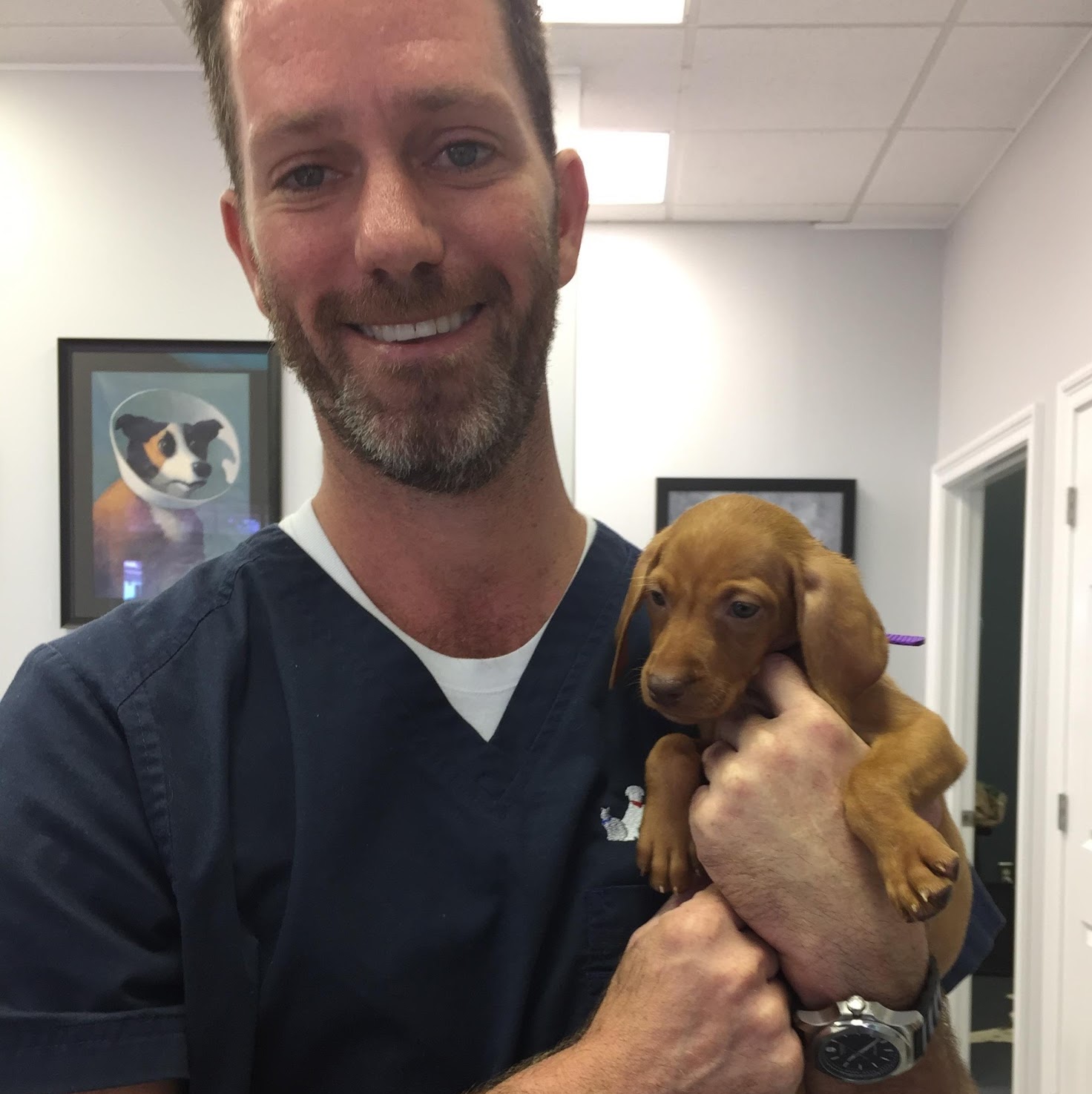Boudreau Veterinary Clinic - Mobile , United States