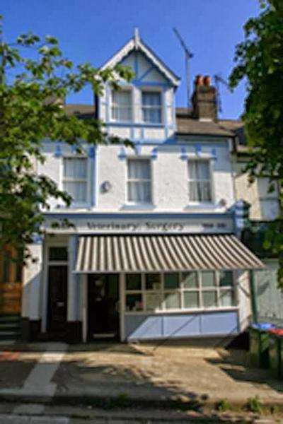 Business's Photo