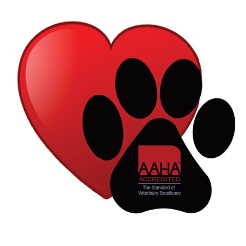 Central Nova Animal Hospital - Truro , Canada