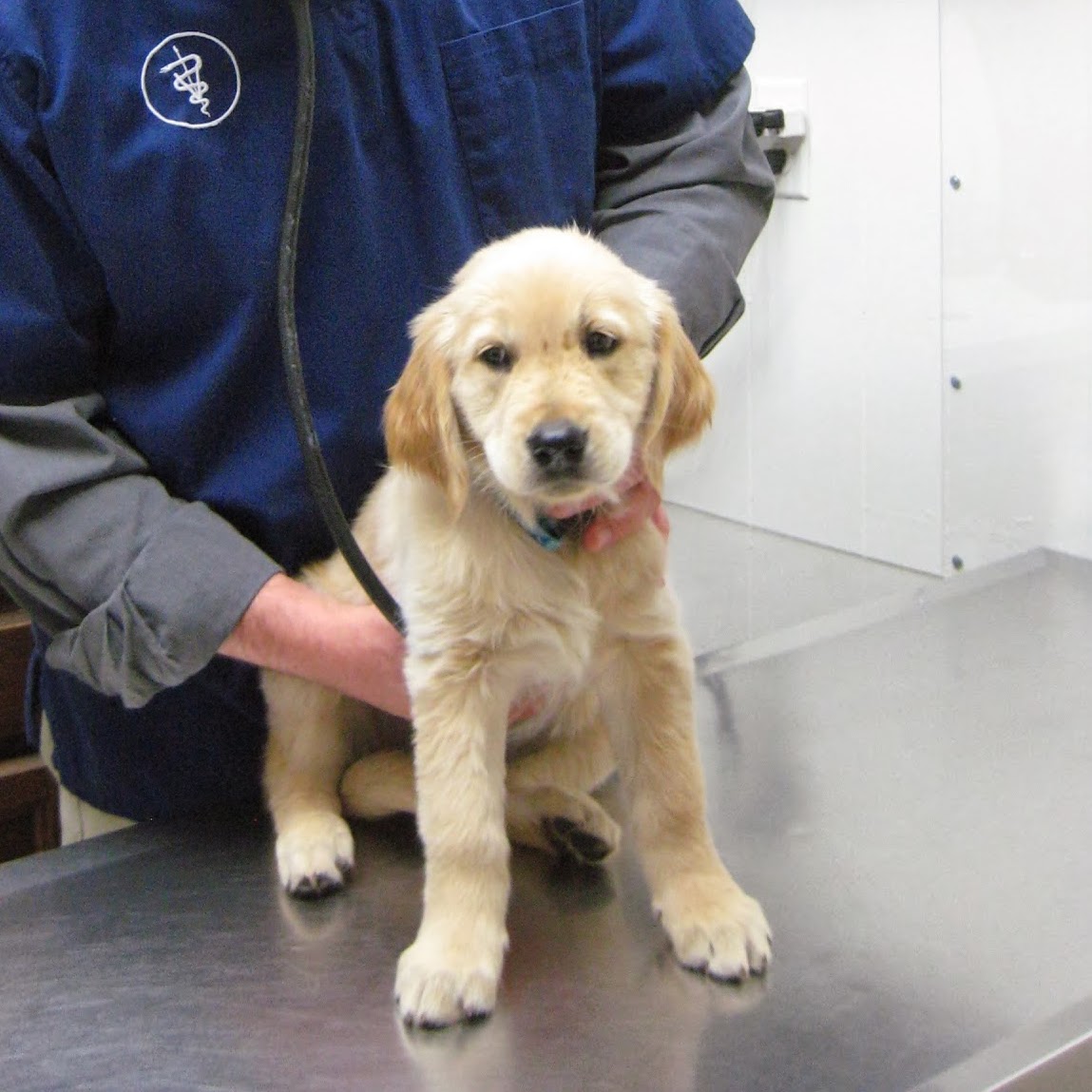 Dunloggin Veterinary Hospital - Ellicott City , United States