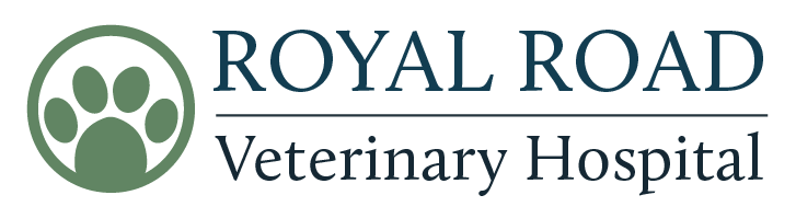 Royal Road Veterinary Hospital - Fredericton , Canada