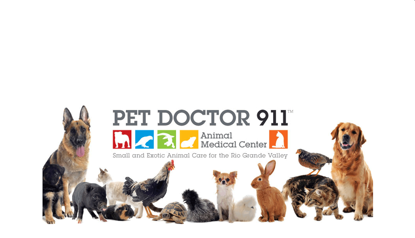 Pet Doctor 911 - McAllen , United States