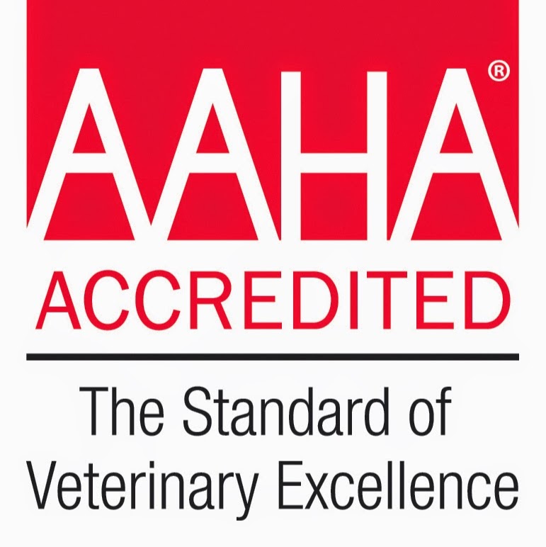 Carnegy Animal Hospital - Halifax , Canada
