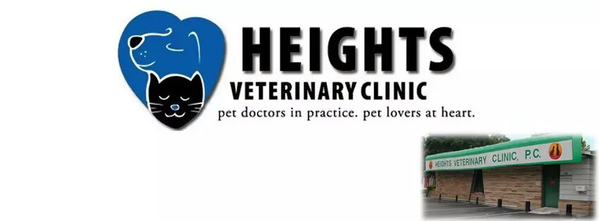 Heights Veterinary Clinic Northwest - Houston , United States