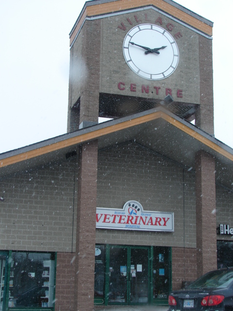 Bedford Highway Veterinary Hospital - Bedford , Canada