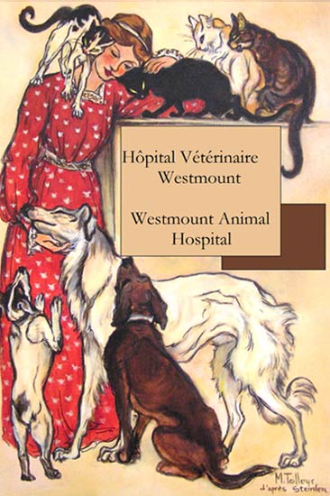 Hôpital Vétérinaire De Westmount - Westmount , Canada