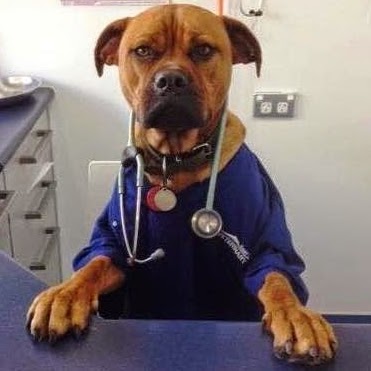 East Coast Bays Veterinary Clinic - Albany , New Zealand
