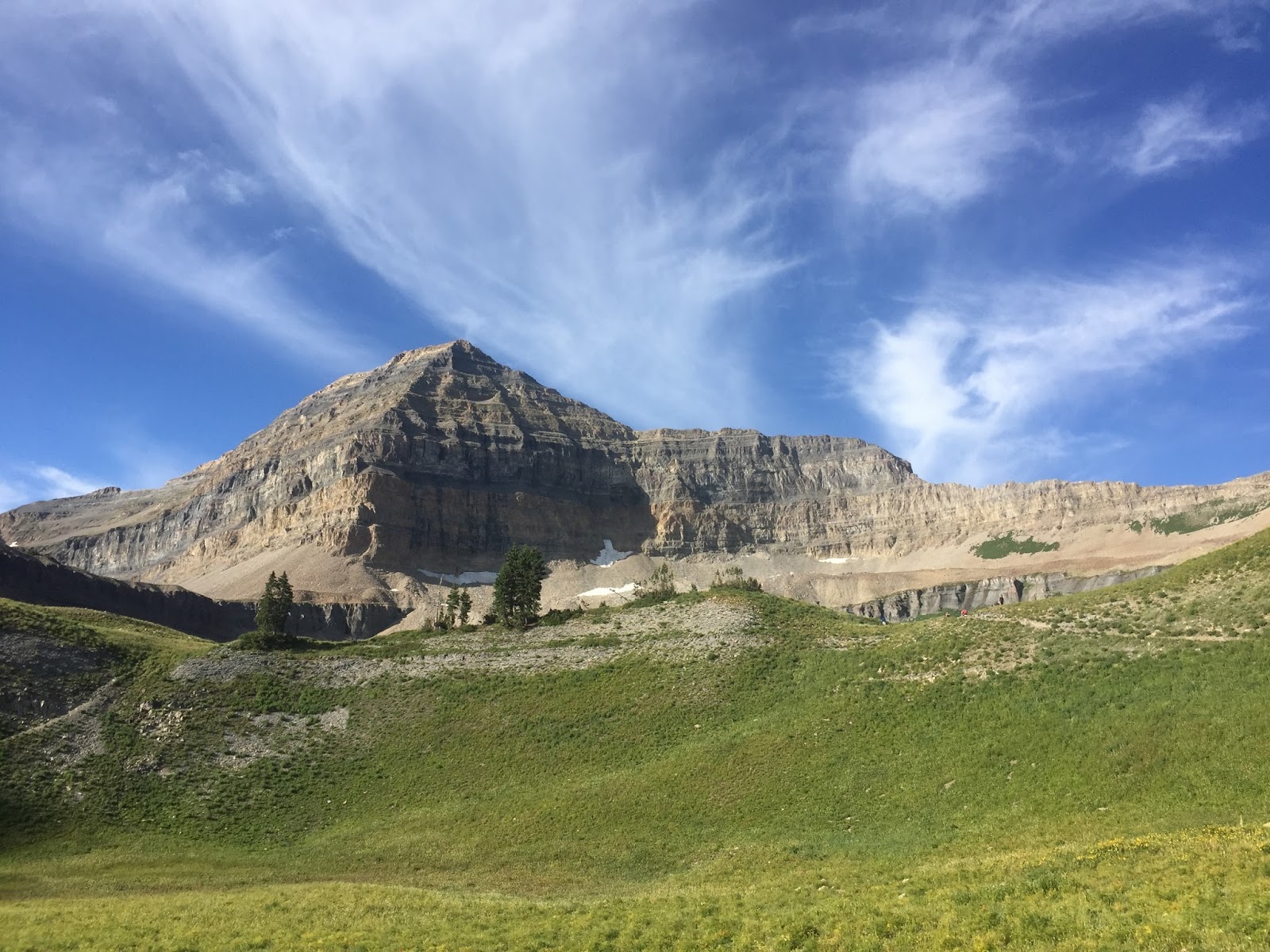 Alpine Animal Hospital - Alpine , United States