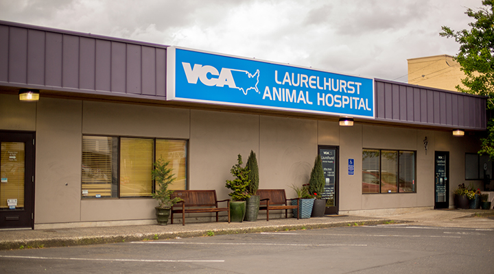 Vca Laurelhurst Animal Hospital - Portland , United States