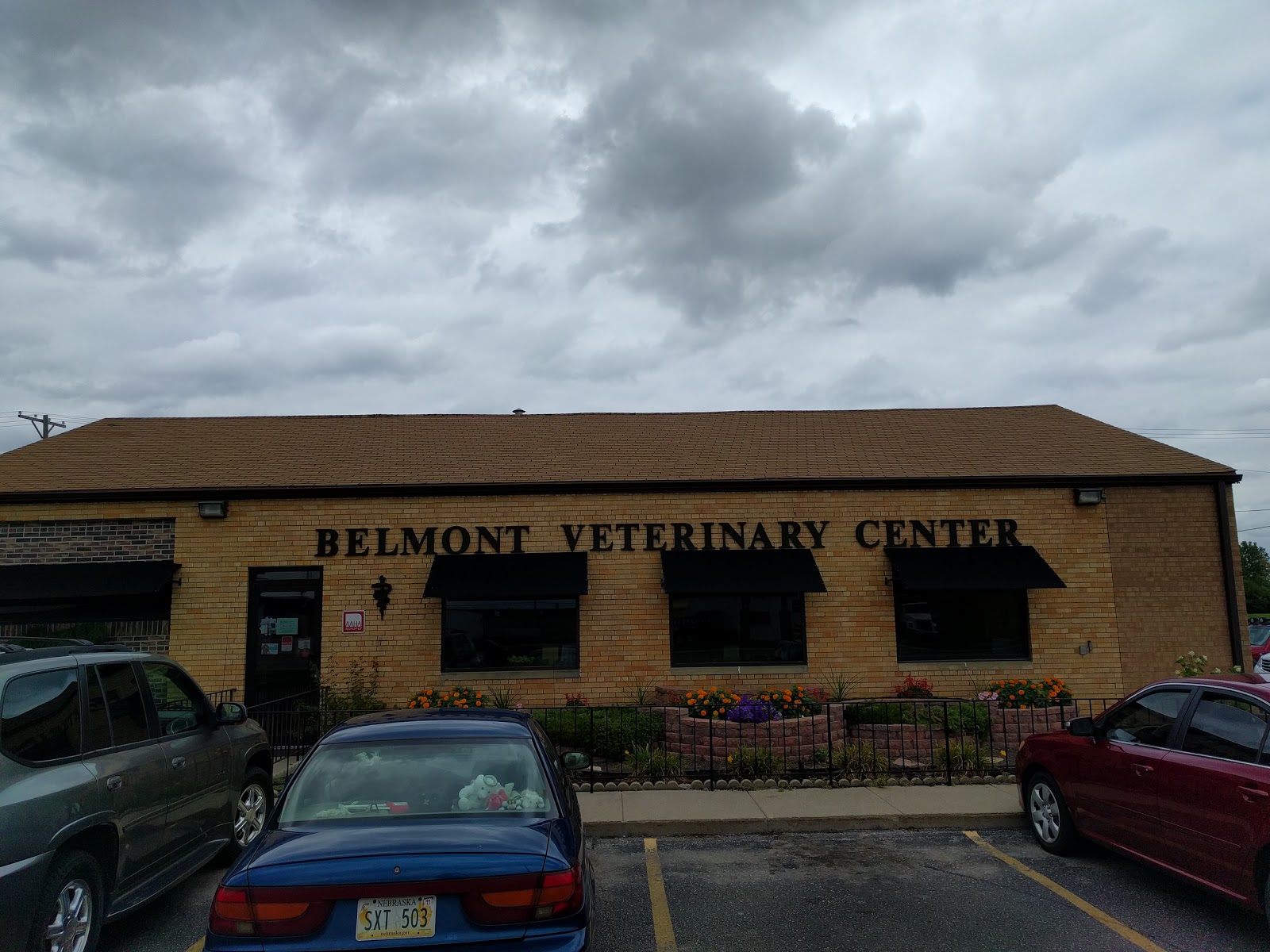 Belmont best sale veterinary clinic