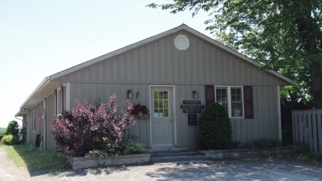 Stirling Veterinary Services - Stirling , Canada