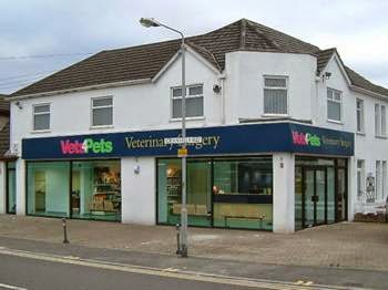 Vets4Pets Poole - Poole , United Kingdom