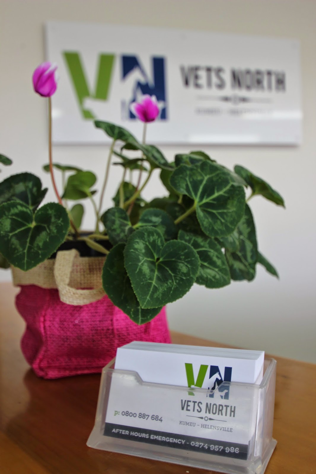 Vets North Kumeu - Kumeu , New Zealand